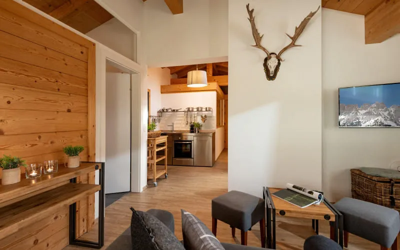 narzenhof_baernstetten_31_st_johann_12_2024_appartement_new_mountain_wohnraum_kueche__kopie.jpg